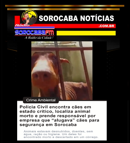 CRUELDADE ANIMAL COM CÃES EM SOROCABA!