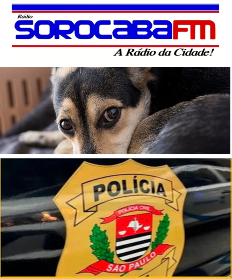 Polícia investiga ONG de Sorocaba por suspeita de maus-tratos a animais
