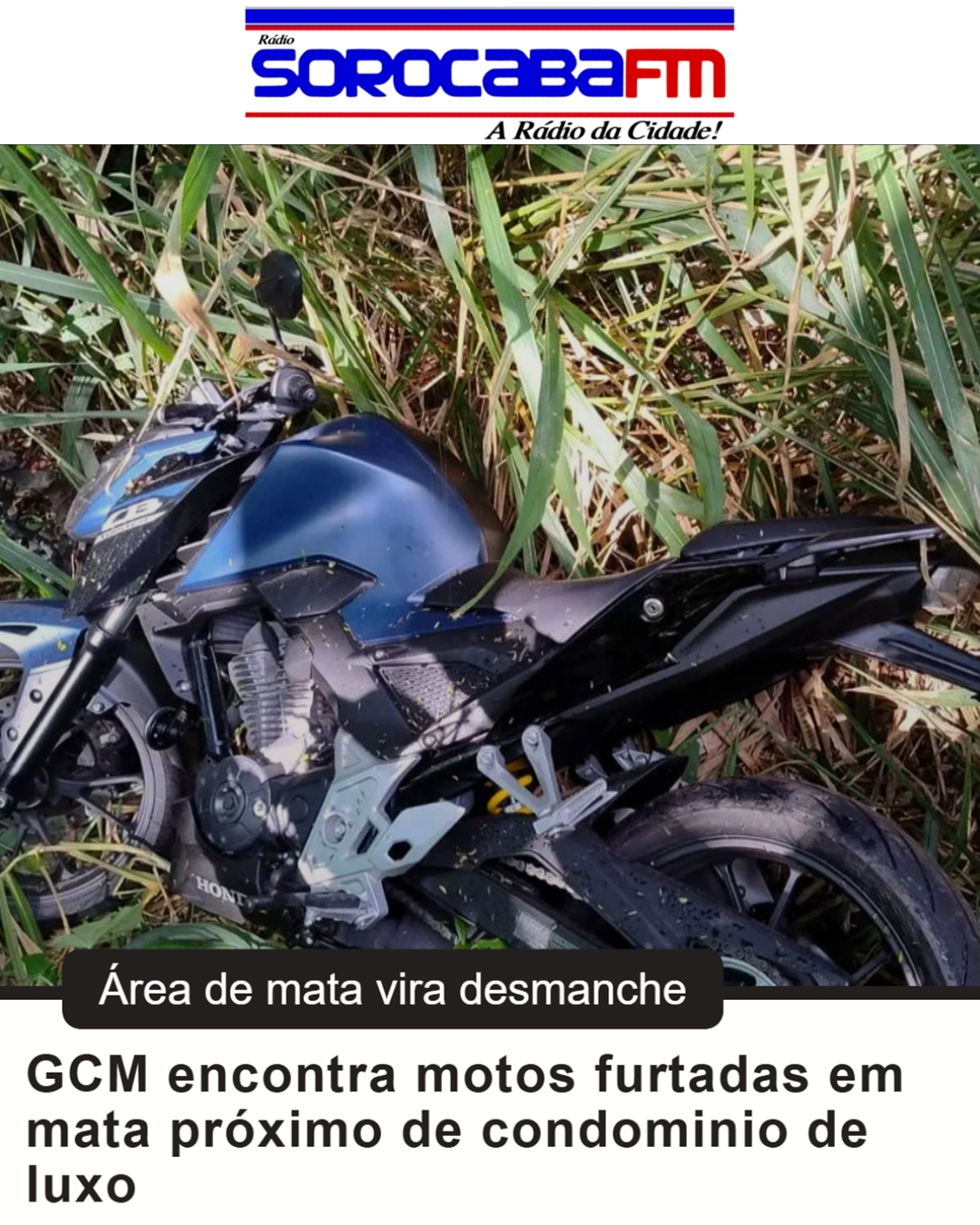 GCM encontra motos furtadas em mata próximo de condominio de luxo